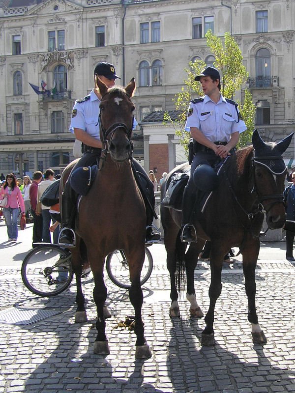 Policijska konjenica